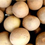 Chikoo (Sapota) - Image 3