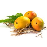 Valsad Hafus Mangoes (Coming Soon) - Image 4