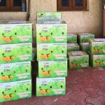 Valsad Hafus Mangoes (Coming Soon) - Image 3